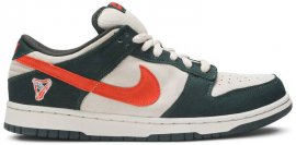 Dunk Low Pro SB Eire 304292-185