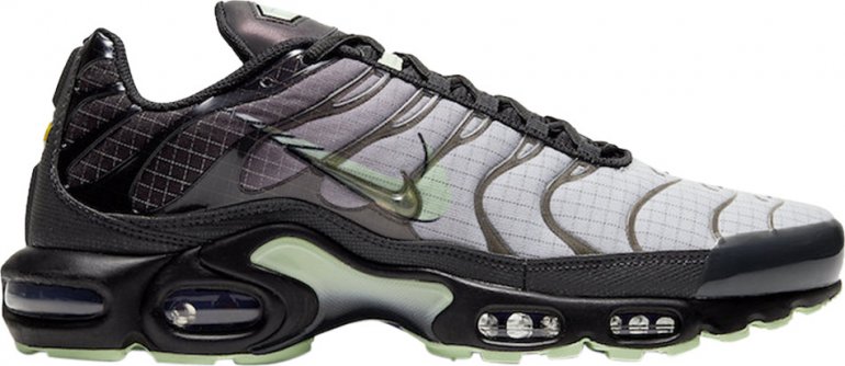 Air Max Plus Future Swoosh CT1619-001 Air Max Plus Future Swoosh CT1619-001