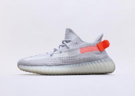 Adidas Yeezy Boost 350 V2