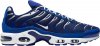 Air Max Plus Arctic Chill CW7024-400