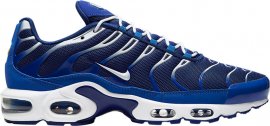Air Max Plus Arctic Chill CW7024-400