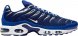 Air Max Plus Arctic Chill CW7024-400