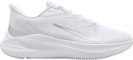 Wmns Zoom Winflo 7 Pure Platinum CJ0301-004