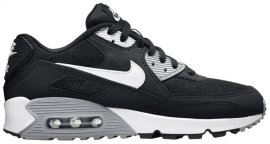 Air Max 90 Essential Black Wolf Grey 616730-012