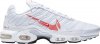 Air Max Plus Double Swoosh CU3454-100