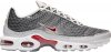 Air Max Plus OG Neutral Grey BV1983-001