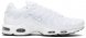 Air Max Plus White 604133-139