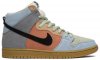 Dunk High Pro SB Spectrum CN8345-001