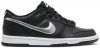 Dunk Low Pro SB Black Silver DC9560-001