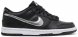 Dunk Low Pro SB Black Silver DC9560-001