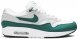 Air Max 1 Evergreen DC1454-100