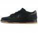 Dunk Low Pro SB Ishod Wair 819674-002