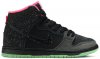 Dunk High Premium SB Northern Lights 313171-063