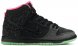 Dunk High Premium SB Northern Lights 313171-063