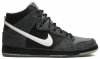 Dunk High SB Premier Petoskey 645986-010