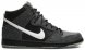Dunk High SB Premier Petoskey 645986-010
