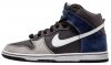 Dunk High Pro SB Un-Futuras 305050-015