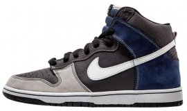 Dunk High Pro SB Un-Futuras 305050-015