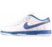 Dunk Low Pro SB Medicom 1 304292-142
