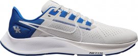 Air Zoom Pegasus 38 Kentucky DJ0830-001