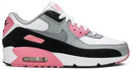 Air Max 90 GS Rose Pink CD6864-104