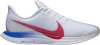 Zoom Pegasus Turbo Blue Ribbon Sports CJ8296-100