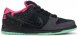 Premier x Dunk Low Premium SB AE QS Northern Lights 724183-063