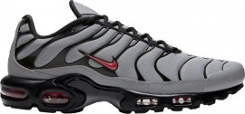 Air Max Plus Wolf Grey DC1935-002