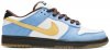 Dunk Low Pro SB Homer 304292-173