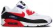 Air Max 90 Essential Raptors AJ1285-106
