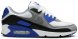 Air Max 90 Royal CD0490-100