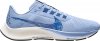 Nathan Bell x Air Zoom Pegasus 38 A.I.R. Run To A Magical Place-Aluminum DM1610-400