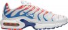 Air Max Plus GS 3D Glasses CQ9893-400