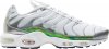 Air Max Plus Metallic Green CW2646-100