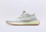 Adidas Yeezy Boost 350 V2