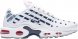 Air Max Plus Unite Totale CI9103-100
