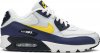 Air Max 90 Essential Michigan AJ1285-101