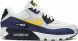 Air Max 90 Essential Michigan AJ1285-101