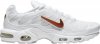 Air Max Plus Removable Swoosh CJ9696-100