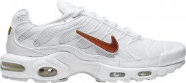 Air Max Plus Removable Swoosh CJ9696-100