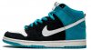 Dunk High Pro SB Send Help 305050-014