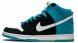 Dunk High Pro SB Send Help 305050-014