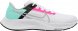 Air Zoom Pegasus 38 South Beach CW7356-102