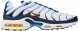 Air Max Plus White Navy Gold CT1094-100