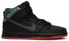 SPoT x SB Dunk High Pro Gasparilla 313171-028