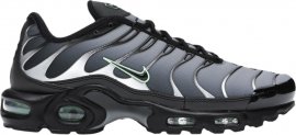 Air Max Plus Particle Grey Vapour Green CZ7552-001
