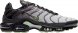 Air Max Plus Future Swoosh CT1619-001