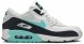 Air Max 90 Esssential Aurora AJ1285-102
