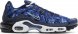 Air Max Plus Shattered Ice-Midnight Navy DO6384-400